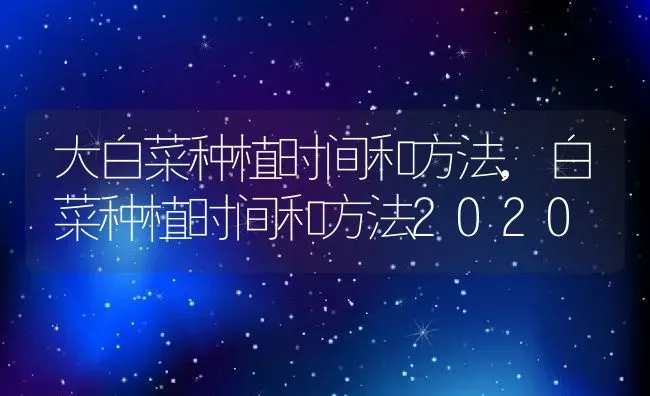 大白菜种植时间和方法,白菜种植时间和方法2020 | 养殖常见问题