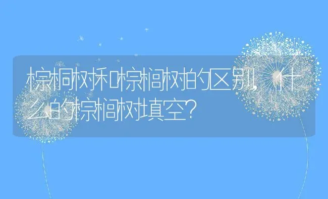 棕桐树和棕榈树的区别,什么的棕榈树填空？ | 养殖常见问题