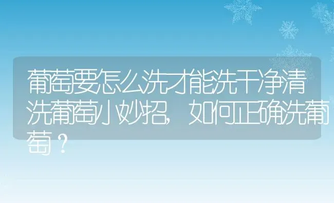 葡萄要怎么洗才能洗干净清洗葡萄小妙招,如何正确洗葡萄？ | 养殖常见问题