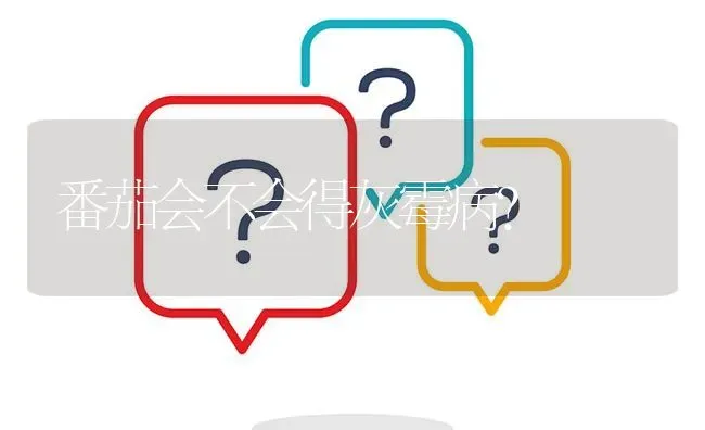 番茄会不会得灰霉病? | 养殖问题解答