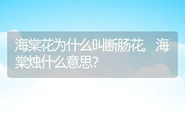 海棠花为什么叫断肠花,海棠烛什么意思？ | 养殖常见问题