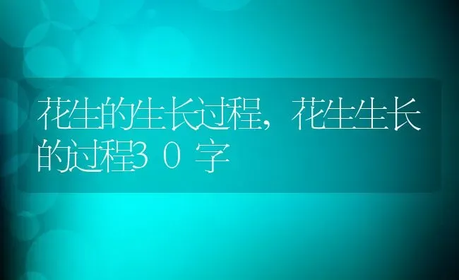 花生的生长过程,花生生长的过程30字 | 养殖常见问题