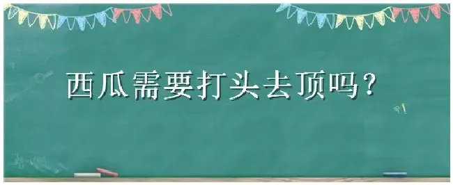 西瓜需要打头去顶吗 | 三农答疑