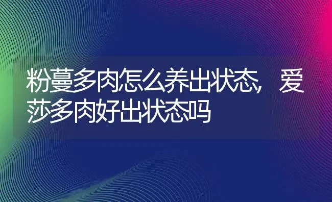 粉蔓多肉怎么养出状态,爱莎多肉好出状态吗 | 养殖常见问题