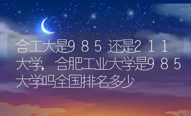 合工大是985还是211大学,合肥工业大学是985大学吗全国排名多少 | 养殖常见问题