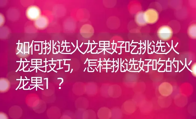 如何挑选火龙果好吃挑选火龙果技巧,怎样挑选好吃的火龙果1？ | 养殖常见问题