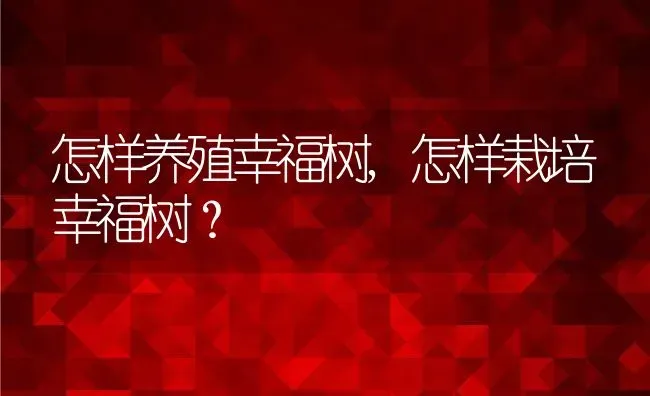 怎样养殖幸福树,怎样栽培幸福树？ | 养殖常见问题