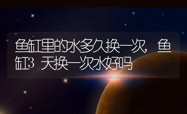 鱼缸里的水多久换一次,鱼缸3天换一次水好吗 | 养殖常见问题