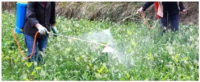 十种常用农药名称，蔬菜检测农药残留标准 | 三农问答