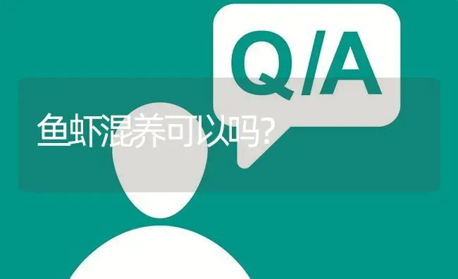 鱼虾混养可以吗? | 养殖问题解答