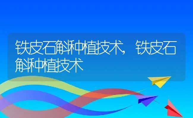 铁皮石斛种植技术,铁皮石斛种植技术 | 养殖常见问题