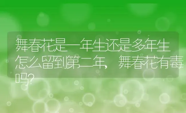 舞春花是一年生还是多年生怎么留到第二年,舞春花有毒吗？ | 养殖常见问题