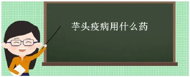 芋头疫病用什么药 | 科普知识