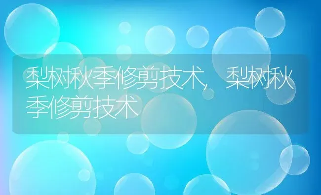 梨树秋季修剪技术,梨树秋季修剪技术 | 养殖常见问题