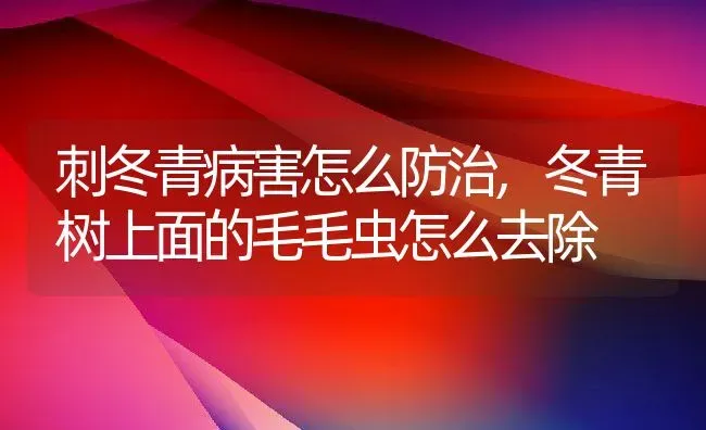 刺冬青病害怎么防治,冬青树上面的毛毛虫怎么去除 | 养殖常见问题