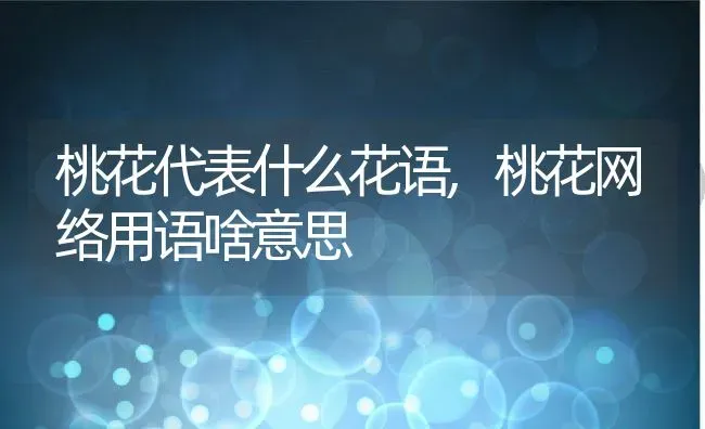 桃花代表什么花语,桃花网络用语啥意思 | 养殖常见问题