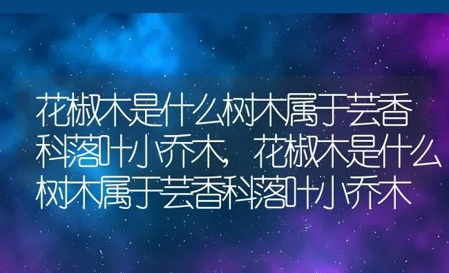 花椒木是什么树木属于芸香科落叶小乔木,花椒木是什么树木属于芸香科落叶小乔木 | 养殖常见问题