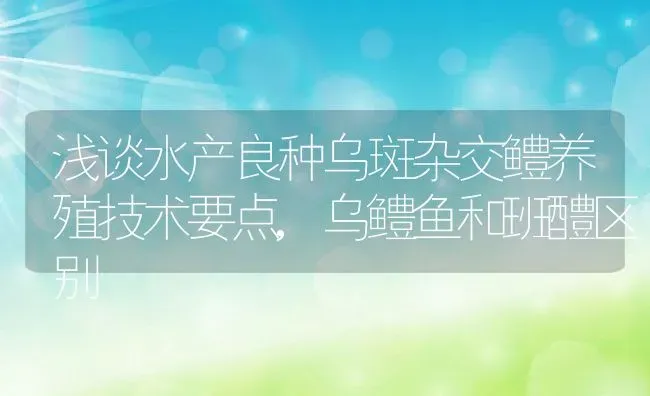 浅谈水产良种乌斑杂交鳢养殖技术要点,乌鳢鱼和班醴区别 | 养殖常见问题