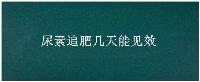 尿素追肥几天能见效 | 生活常识