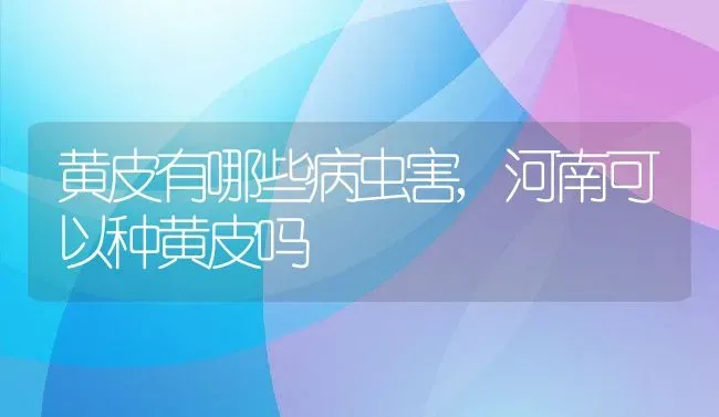 黄皮有哪些病虫害,河南可以种黄皮吗 | 养殖常见问题
