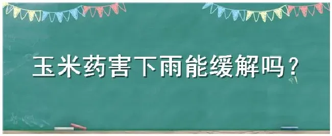 玉米药害下雨能缓解吗 | 科普知识