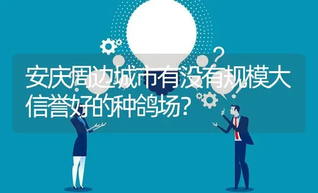 安庆周边城市有没有规模大信誉好的种鸽场? | 养殖问题解答
