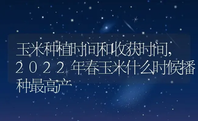 玉米种植时间和收获时间,2022年春玉米什么时候播种最高产 | 养殖常见问题