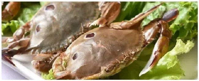 海蟹的品种 | 生活常识
