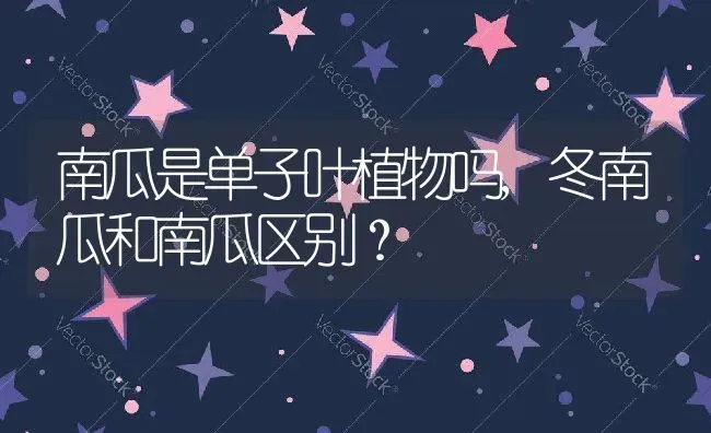 南瓜是单子叶植物吗,冬南瓜和南瓜区别？ | 养殖常见问题