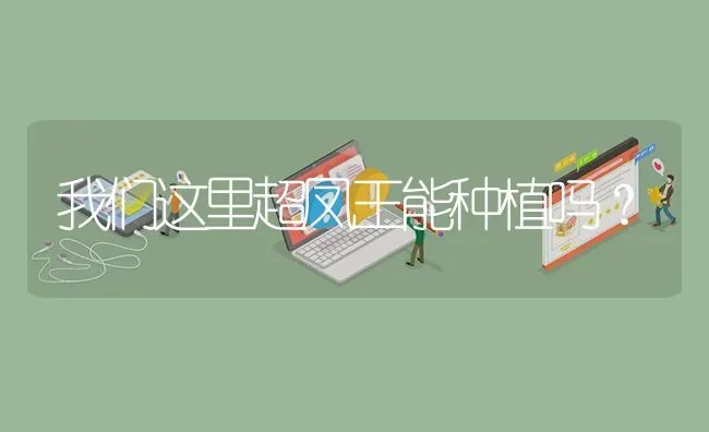 我们这里超凤王能种植吗? | 养殖问题解答