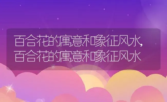 百合花的寓意和象征风水,百合花的寓意和象征风水 | 养殖常见问题