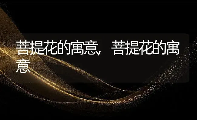 菩提花的寓意,菩提花的寓意 | 养殖常见问题