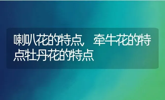 情人草的花语和寓意,情人草的花语和寓意 | 养殖常见问题