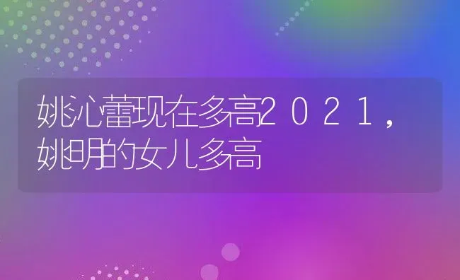 姚沁蕾现在多高2021,姚明的女儿多高 | 养殖常见问题