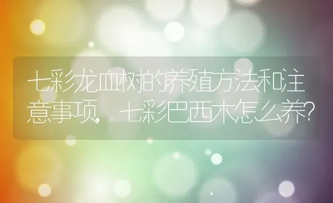 七彩龙血树的养殖方法和注意事项,七彩巴西木怎么养？ | 养殖常见问题