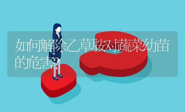 如何解除乙草胺对蔬菜幼苗的危害? | 养殖问题解答