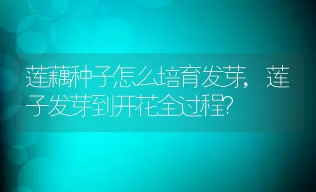 莲藕种子怎么培育发芽,莲子发芽到开花全过程？ | 养殖常见问题