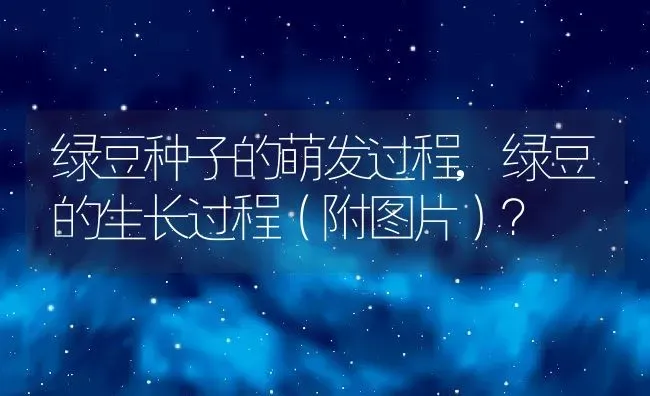 绿豆种子的萌发过程,绿豆的生长过程（附图片）？ | 养殖常见问题