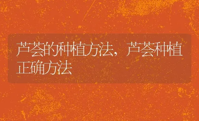 芦荟的种植方法,芦荟种植正确方法 | 养殖常见问题