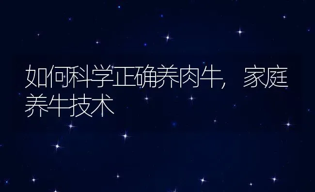 如何科学正确养肉牛,家庭养牛技术 | 养殖常见问题