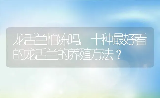 龙舌兰怕冻吗,十种最好看的龙舌兰的养殖方法？ | 养殖常见问题