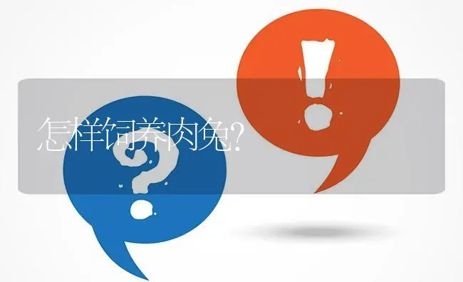 怎样饲养肉兔? | 养殖问题解答