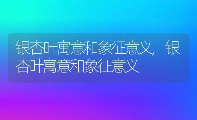 银杏叶寓意和象征意义,银杏叶寓意和象征意义 | 养殖常见问题