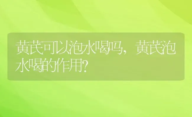 黄芪可以泡水喝吗,黄芪泡水喝的作用？ | 养殖常见问题