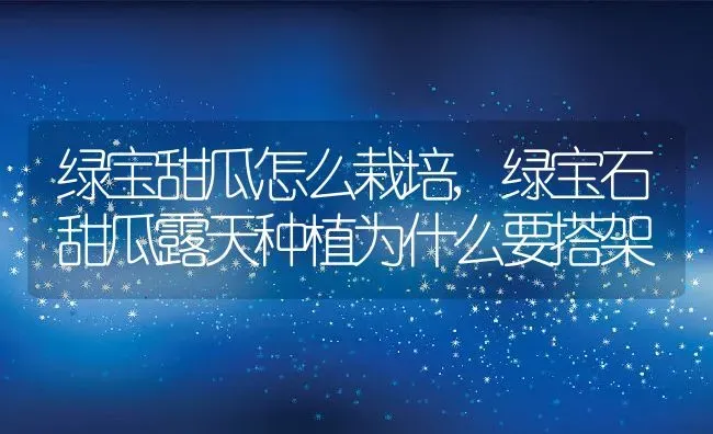 绿宝甜瓜怎么栽培,绿宝石甜瓜露天种植为什么要搭架 | 养殖常见问题