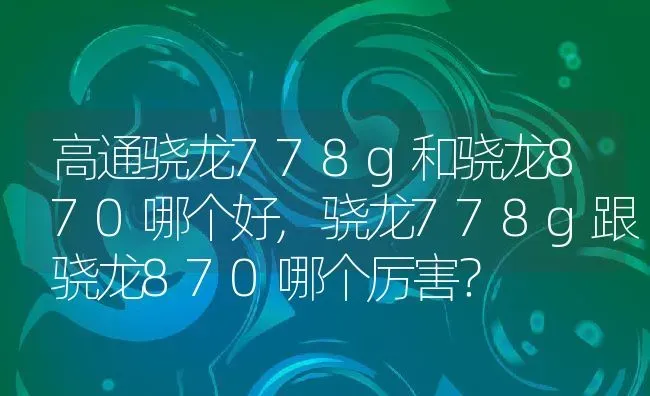 高通骁龙778g和骁龙870哪个好,骁龙778g跟骁龙870哪个厉害？ | 养殖常见问题