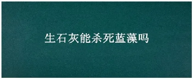 生石灰能杀死蓝藻吗 | 三农问答