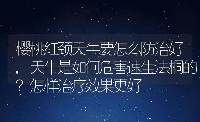 樱桃红颈天牛要怎么防治好,天牛是如何危害速生法桐的？怎样治疗效果更好 | 养殖常见问题