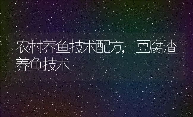 农村养鱼技术配方,豆腐渣养鱼技术 | 养殖常见问题