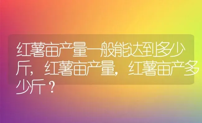 红薯亩产量一般能达到多少斤,红薯亩产量，红薯亩产多少斤？ | 养殖常见问题